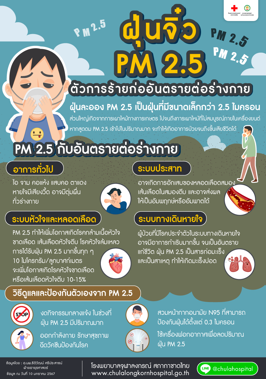 ฝุ่นจิ๋ว PM 2.5 ตัวการร้ายก่ออันตรายต่อร่างกาย